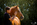 Shooting-photo-Mathilde et King-photographe-equestre-strasbourg-bas rhin-alsace-thomasstoehr